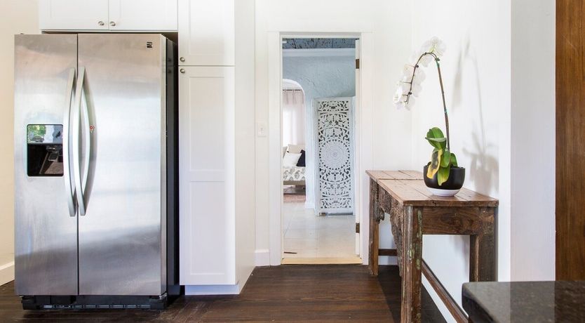 Photo of Orchid White