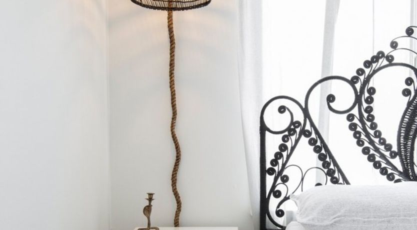 Photo of Orchid White