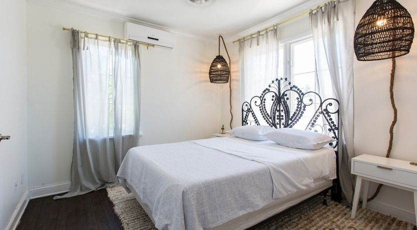 Photo of Orchid White