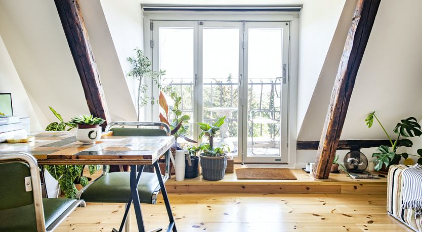 Photo of The Green Market