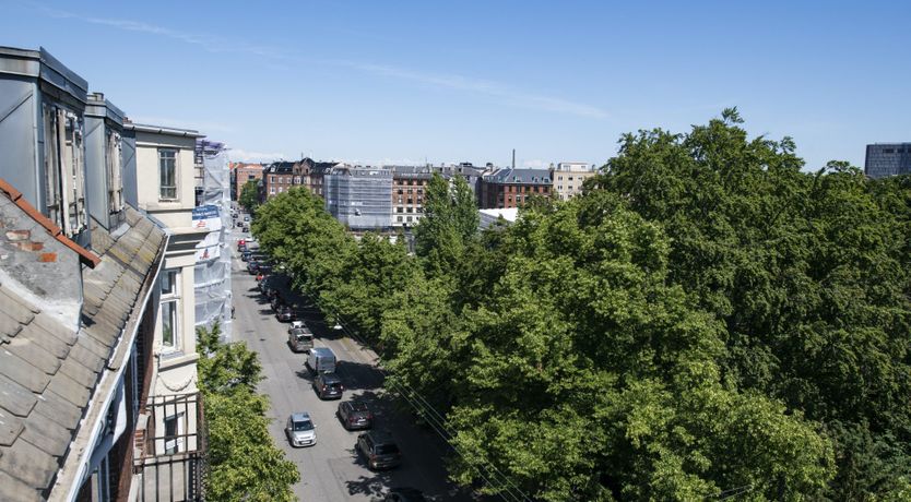 Photo of The Green Market