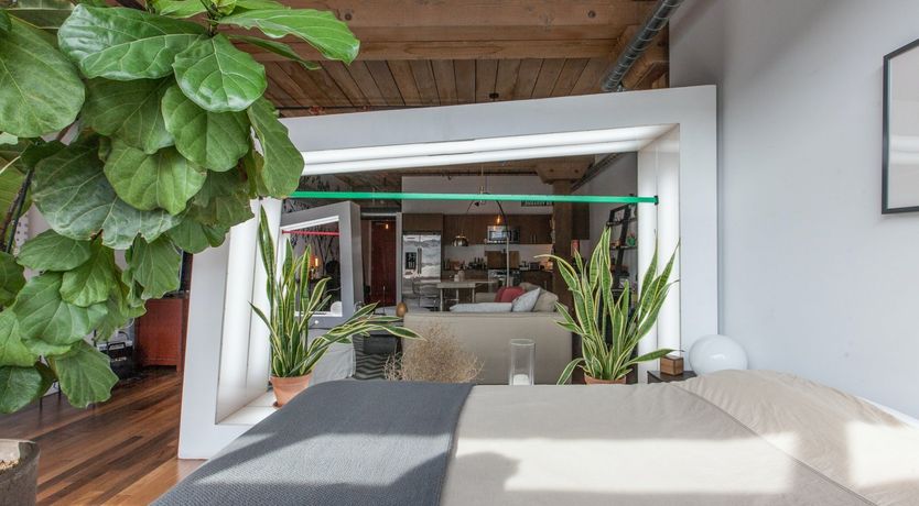 Photo of Trapeze Artist