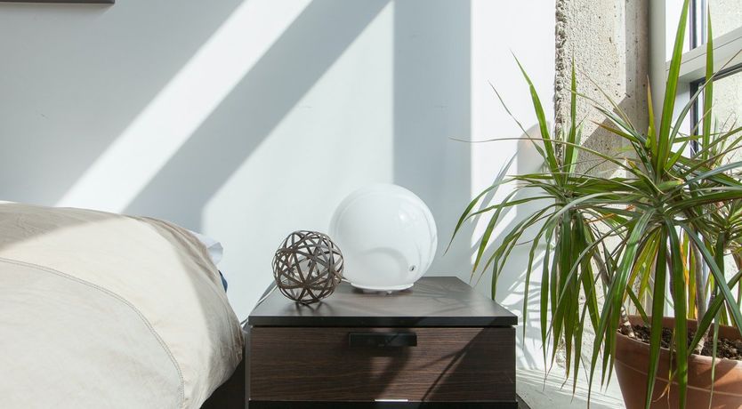 Photo of Trapeze Artist