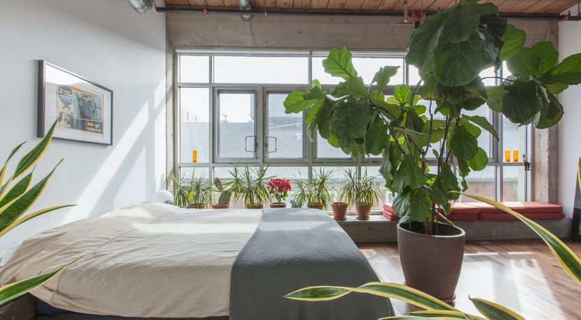 Photo of Trapeze Artist