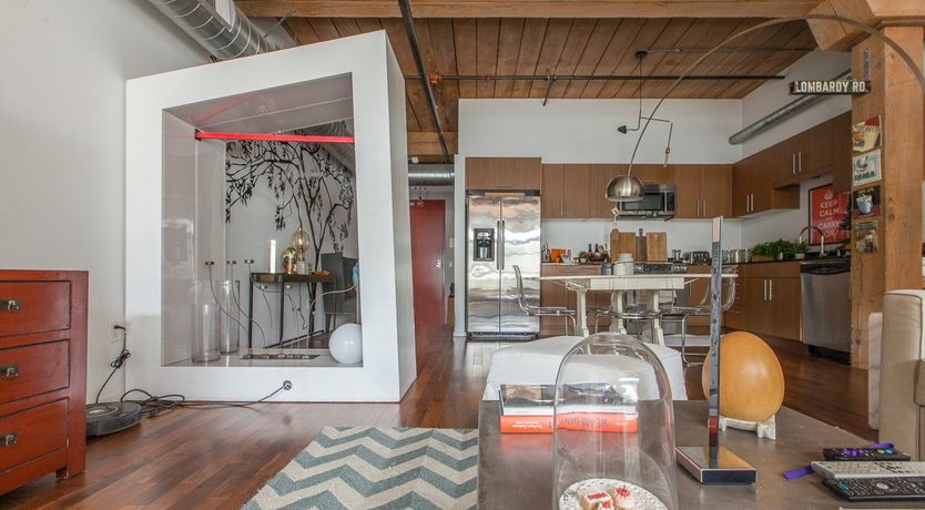 Photo of Trapeze Artist