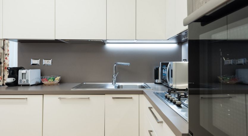 Photo of Fern Leaves