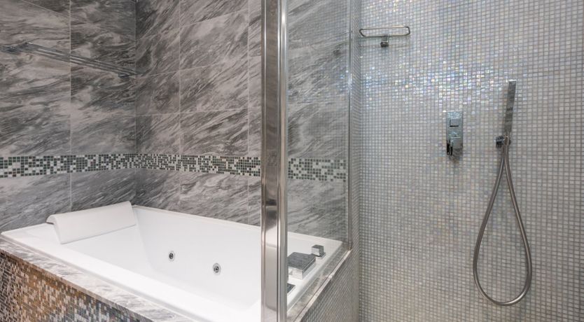 Photo of Fern Leaves