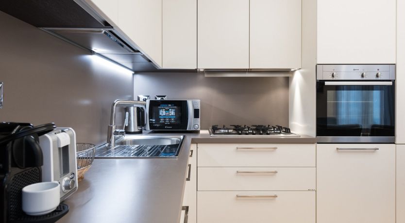 Photo of Fern Leaves