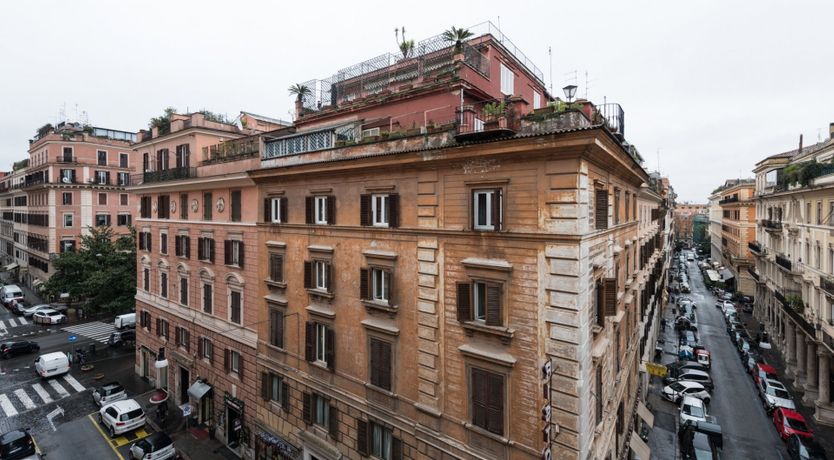 Photo of Fern Leaves