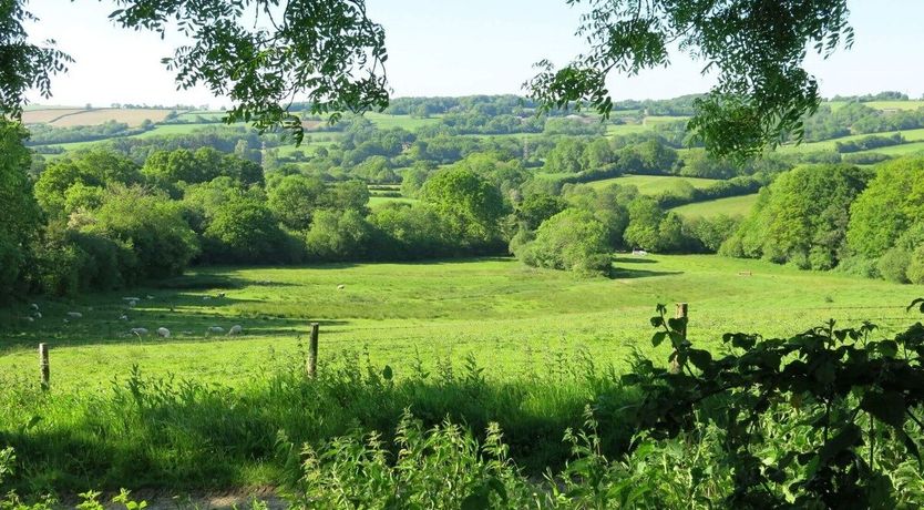 Photo of Meadow View