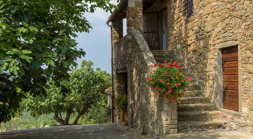 Photo of Stonehill Vines