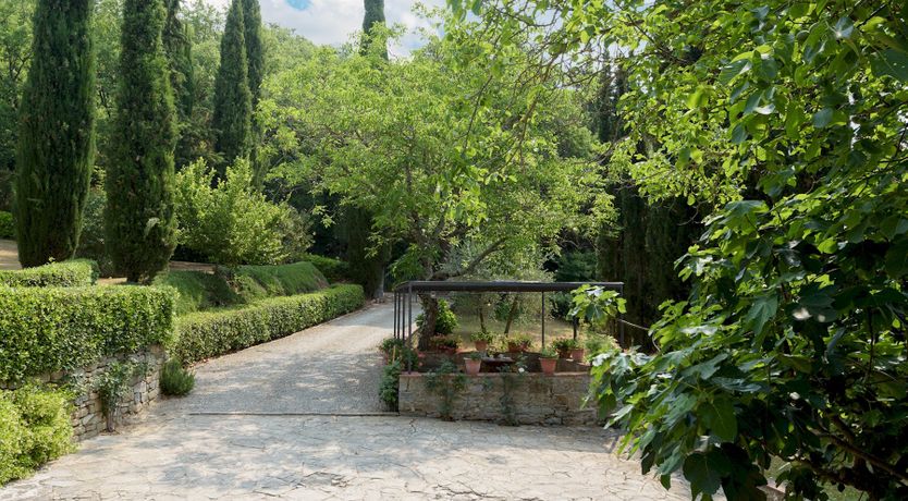 Photo of Stonehill Vines