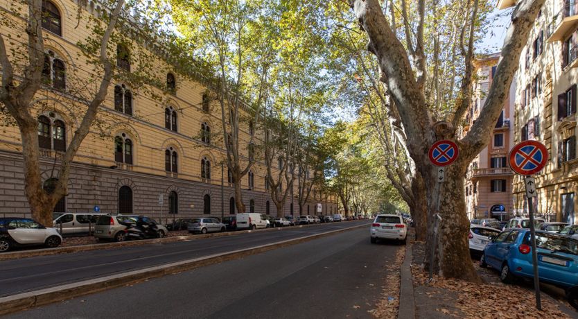Photo of Cornflower Lanes