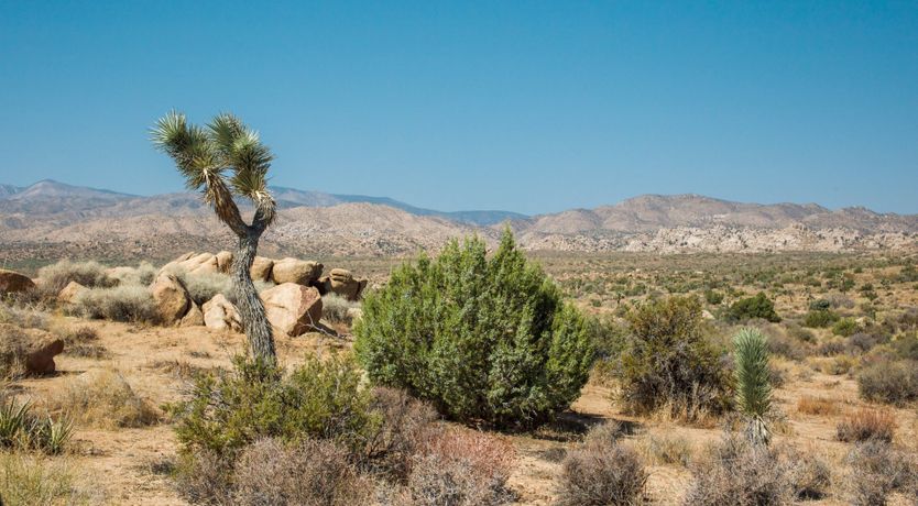 Photo of Under The Rocks