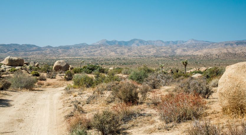 Photo of Under The Rocks