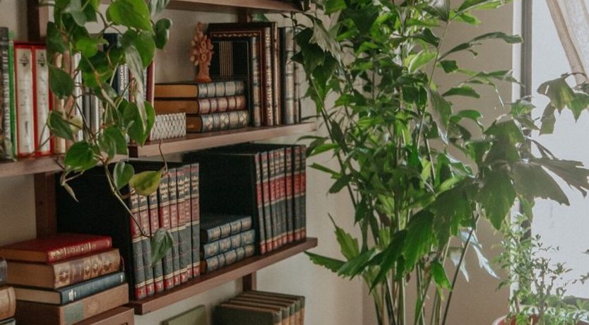 Photo of Desierto Occidental