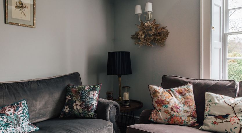 Photo of King Of The Vale