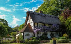 Photo of Wisteria House