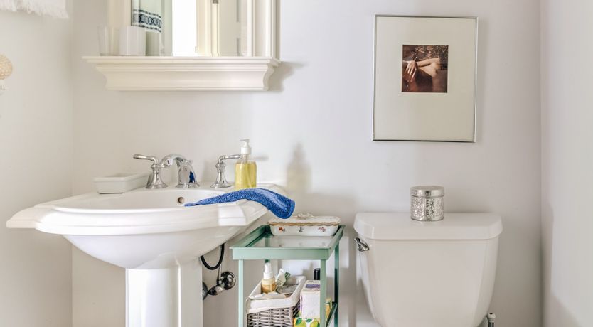 Photo of Sunflower Summer