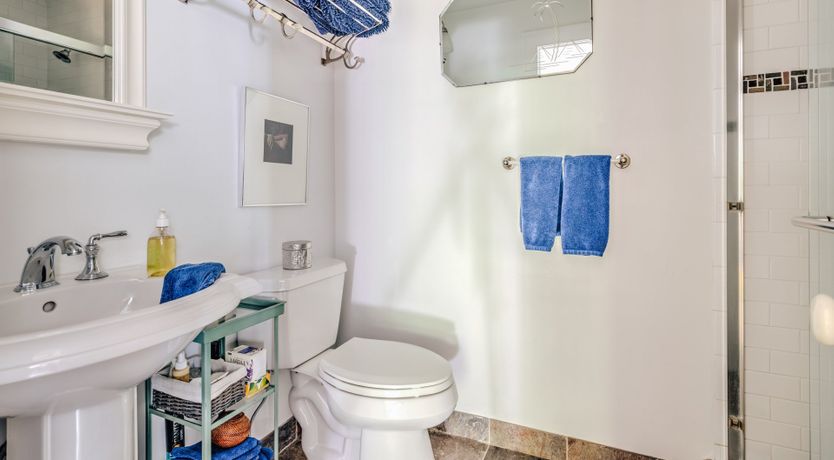 Photo of Sunflower Summer