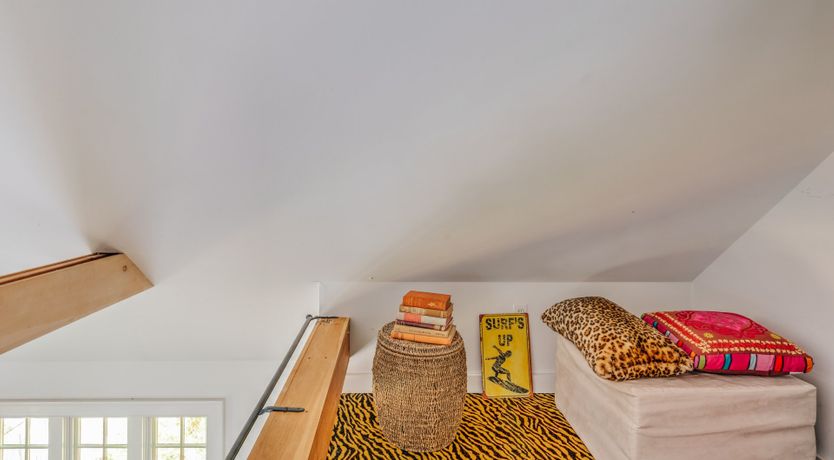 Photo of Sunflower Summer