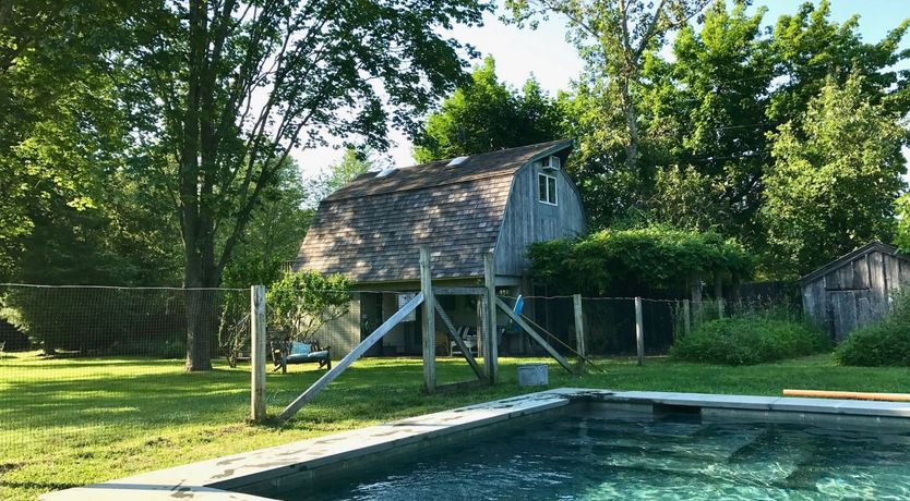 Photo of Sunflower Summer