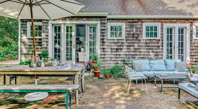 Photo of Sunflower Summer