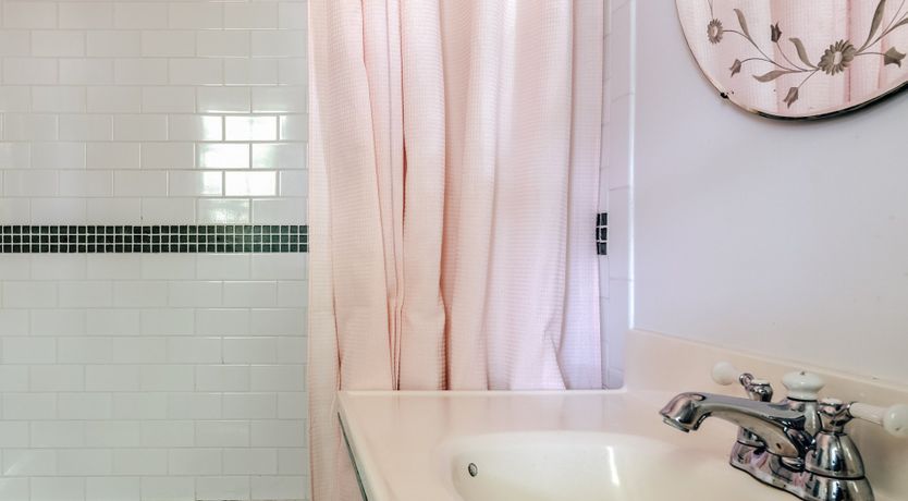 Photo of Sunflower Summer