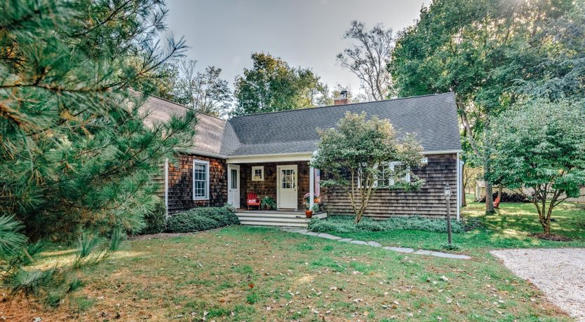 Photo of Sunflower Summer