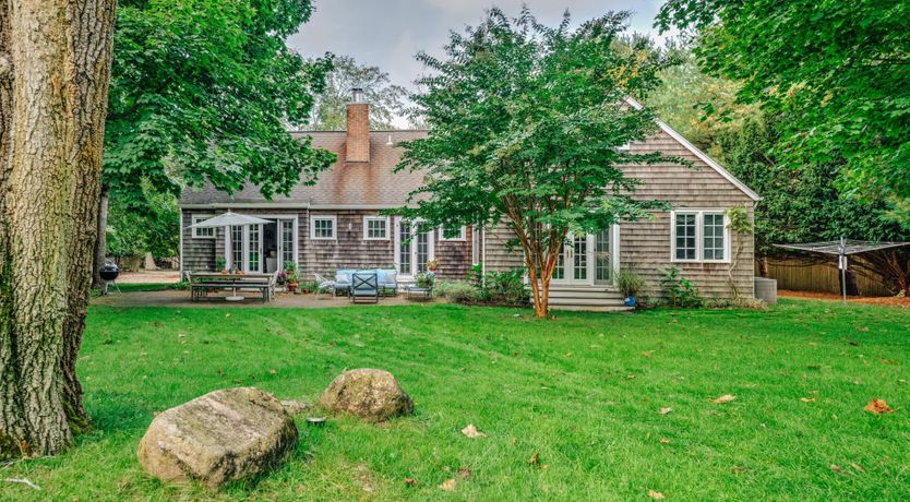 Photo of Sunflower Summer