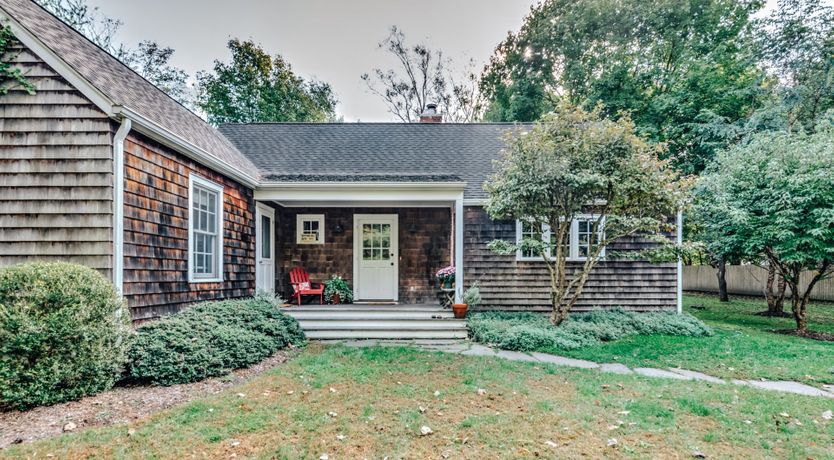 Photo of Sunflower Summer