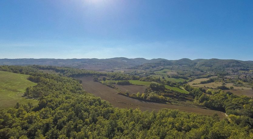 Photo of Wind's Whisper