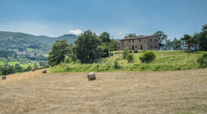 Photo of Wind's Whisper