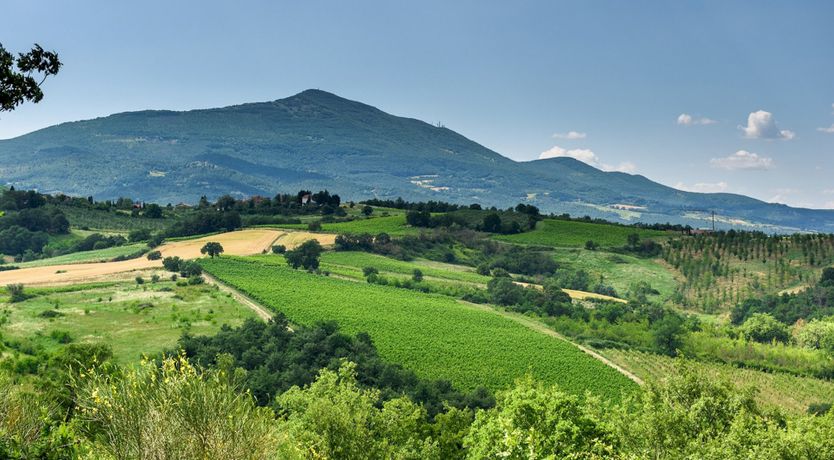 Photo of Wind's Whisper