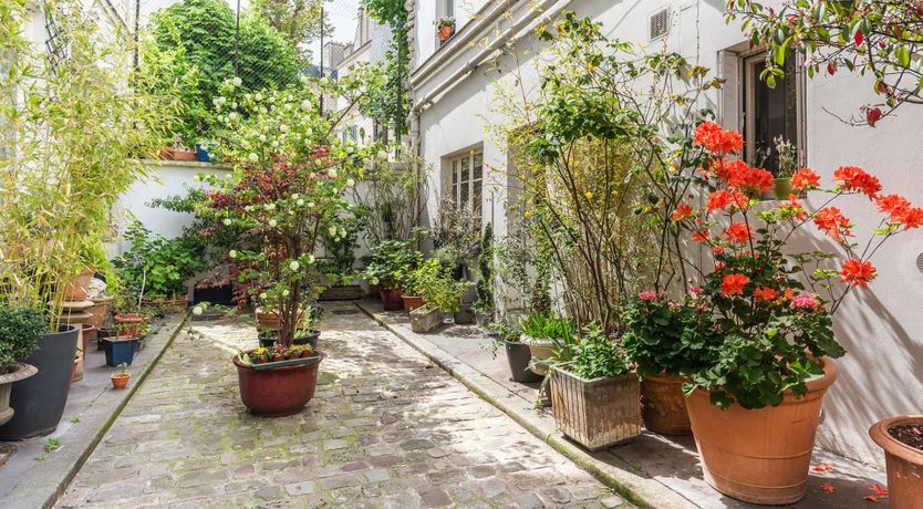 Photo of Tea with Aunt Mabel