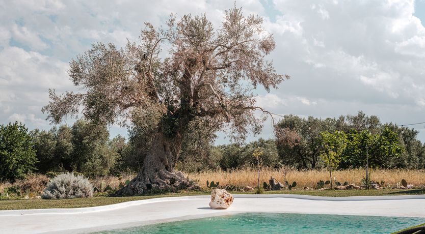 Photo of White Stone Serenade