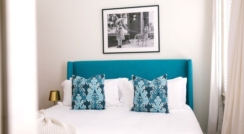 Photo of Summer Duck