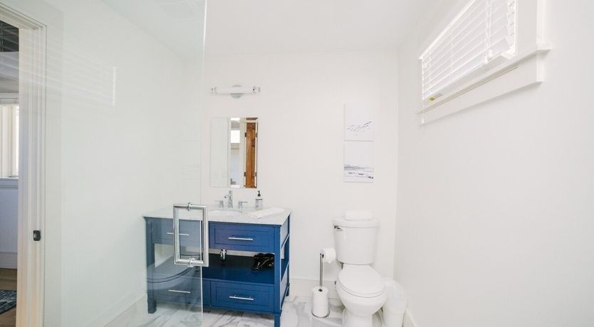 Photo of Summer Duck