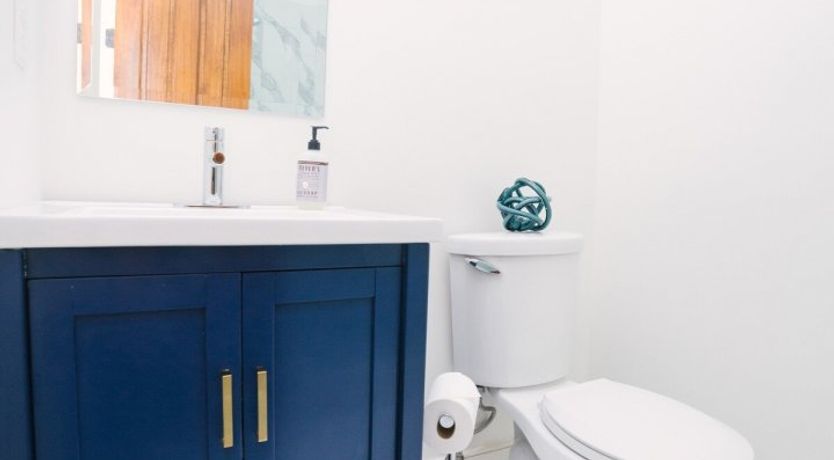 Photo of Summer Duck