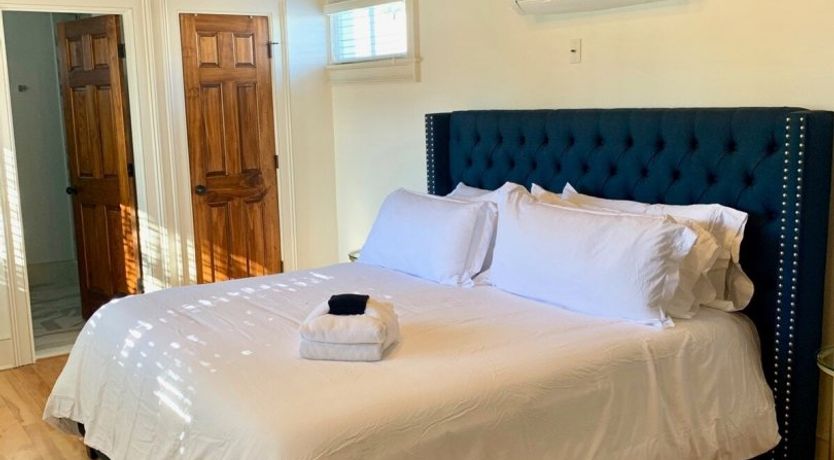 Photo of Summer Duck