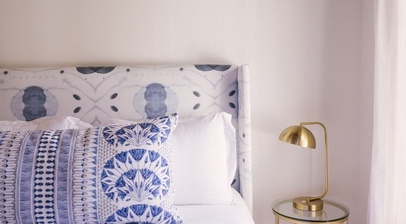 Photo of Summer Duck