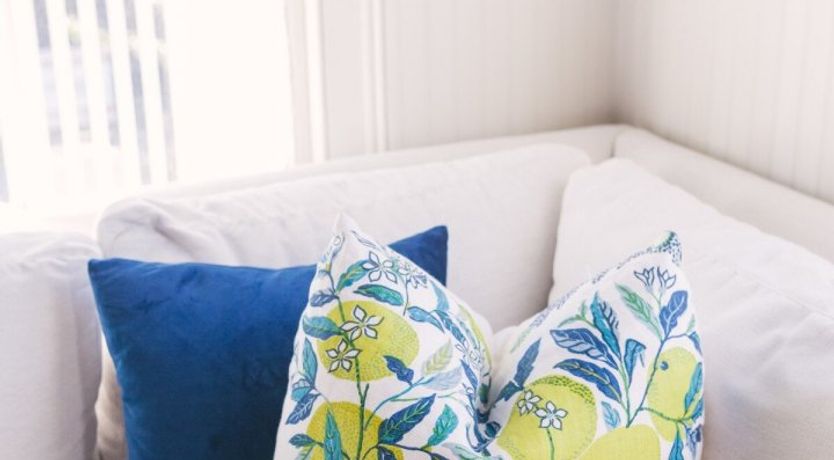 Photo of Summer Duck