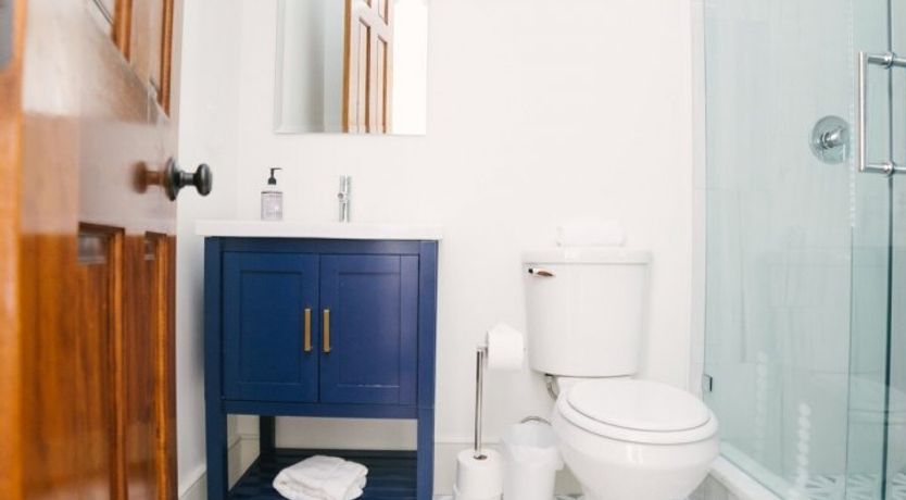 Photo of Summer Duck