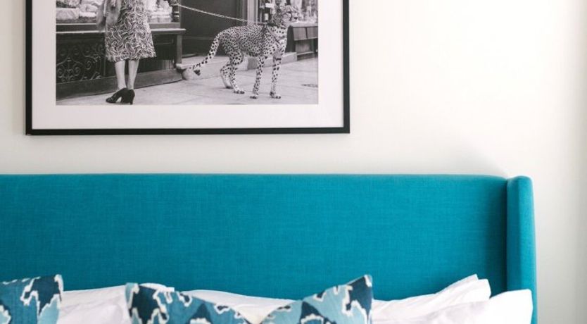 Photo of Summer Duck