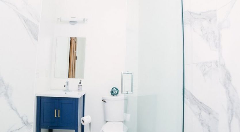 Photo of Summer Duck