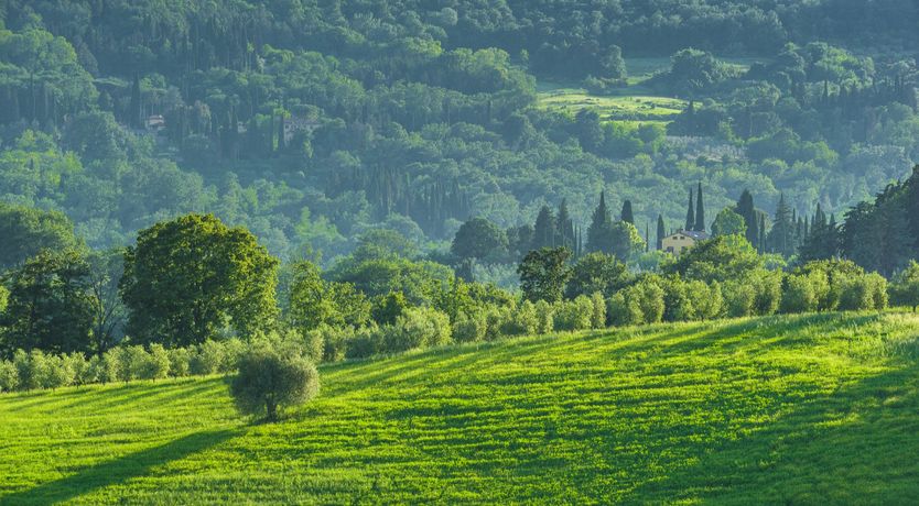 Photo of The Orchard Song