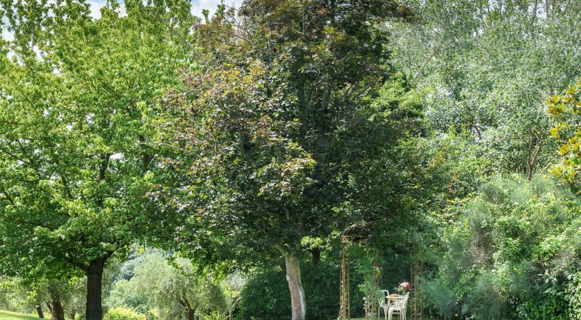 Photo of The Orchard Song