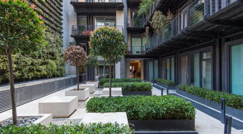 Photo of Urban Meadow