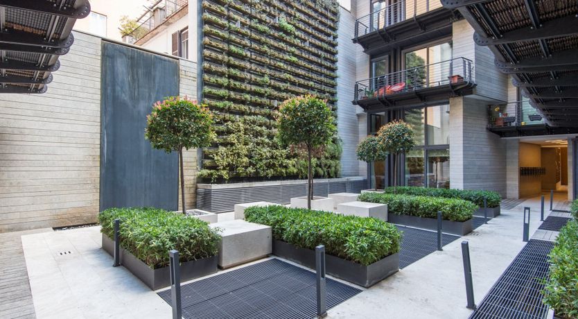 Photo of Urban Meadow