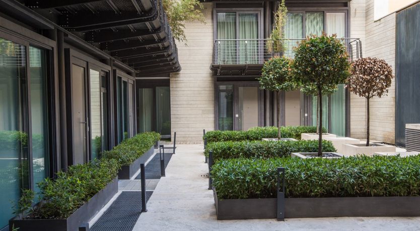 Photo of Urban Meadow